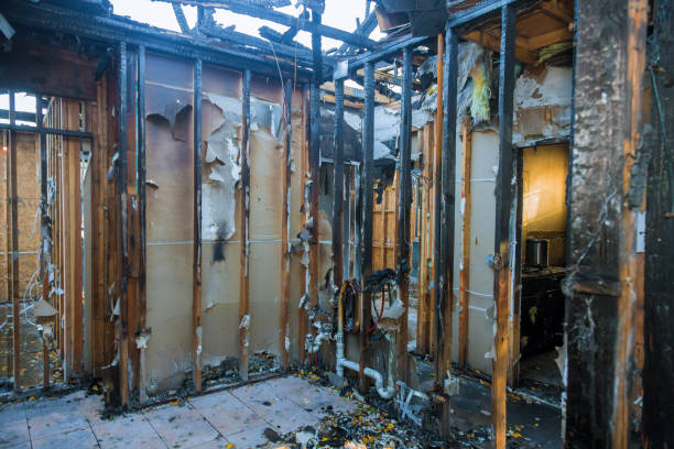 Professional Fire Damage Removal technician working in Camden, AR